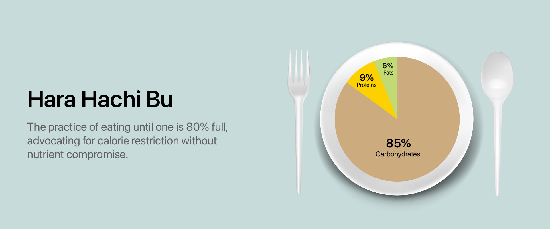 Longevity diet plan