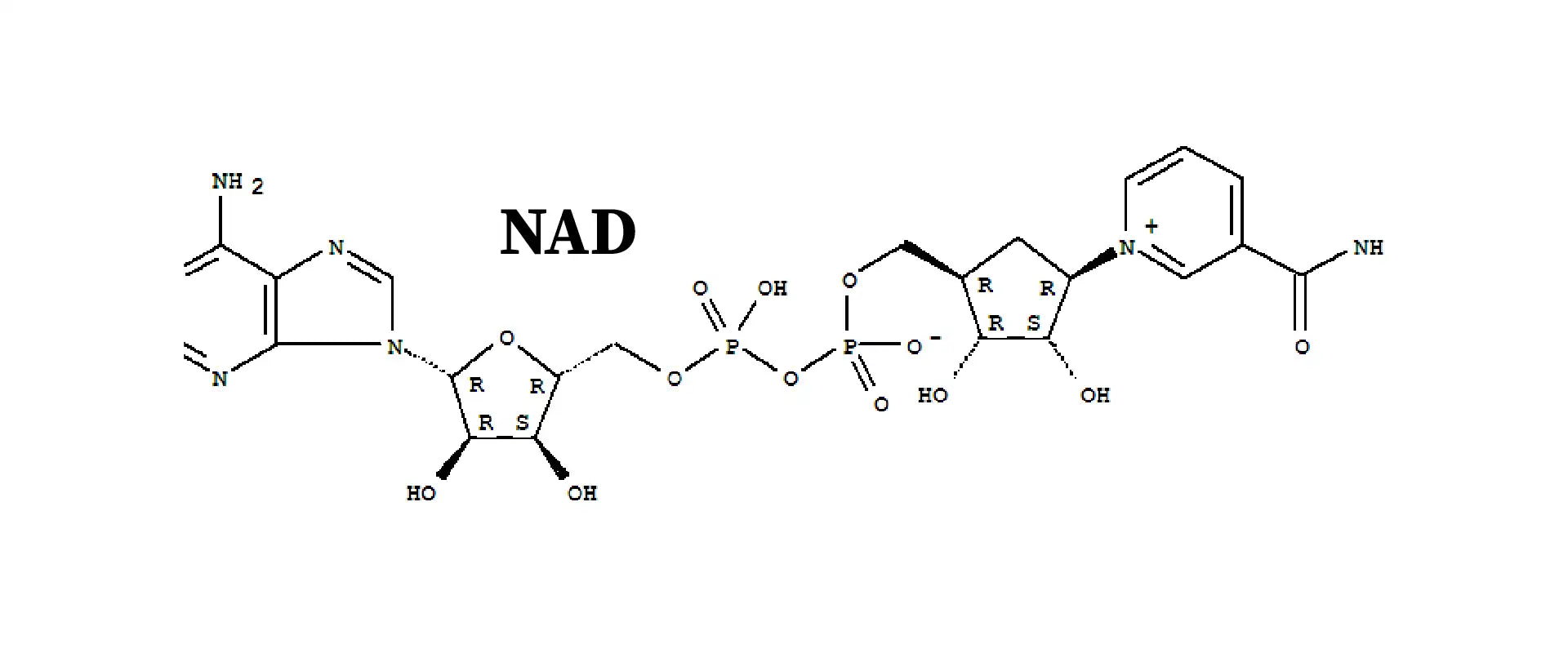 NAD