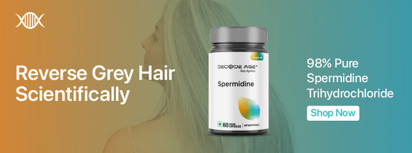 Spermidine