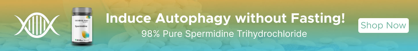 Spermidine for Autophagy