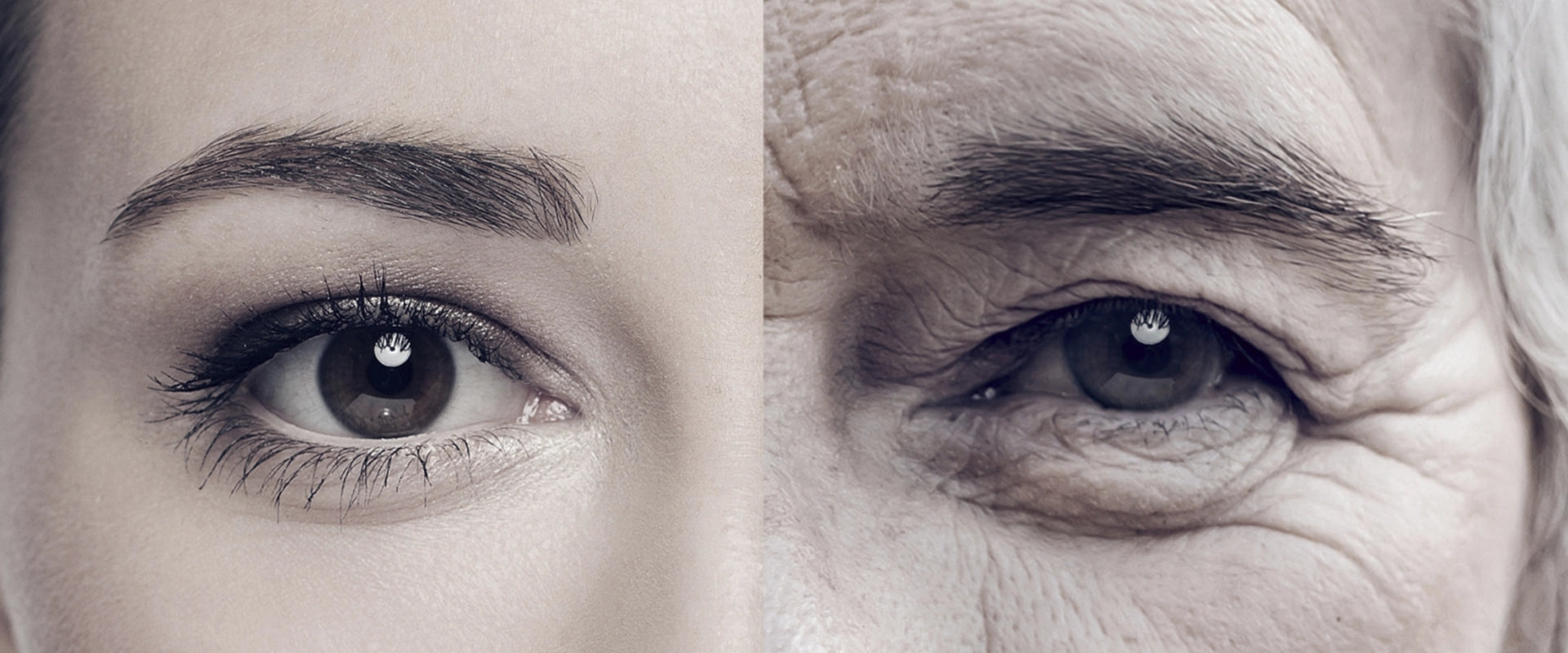 The Effects of Aging: Can They Be Reversed?