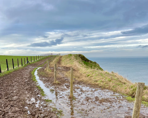 Section of the Cleveland Way