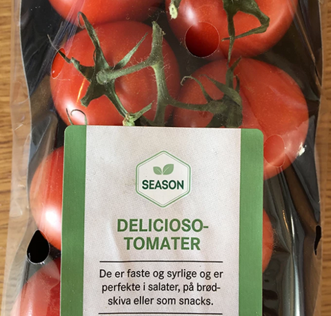 Dyrke tomat