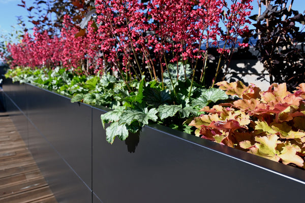 BEDD blomsterkasse i sort lakk. Bygg din egen blomsterkasse med paneler i stål fra norske BEDD