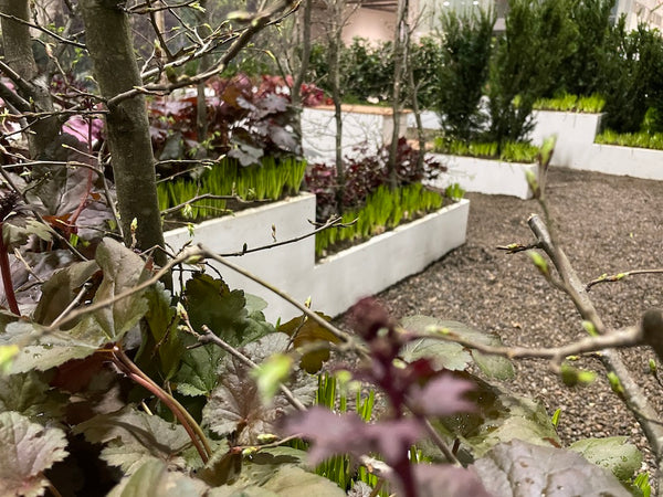 Plantekasser med bøkehekk - BEDD labyrinten på hagemessen
