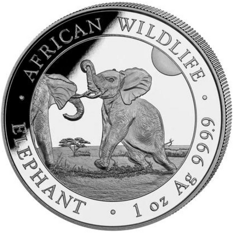 Somalia Elephant Silver Coin 2024 31.10 g - 1115503