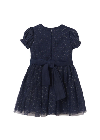 Navy Blue Tulle Dress with Bow and Golden Picks