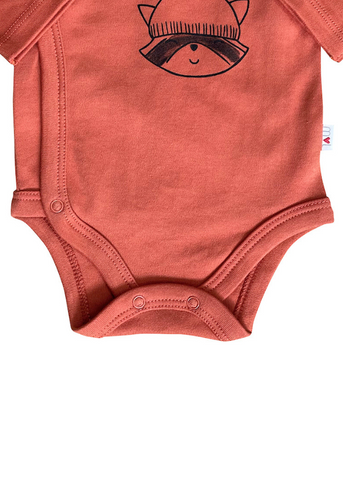 Boys Cotton Bodysuit, Brick Long Sleeve and Raccoon 22160 Mother Love