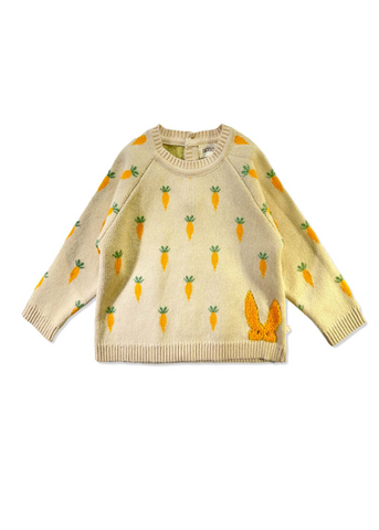Cotton Sweater for Boys, Beige with Rabbit and Carrot Print 21151 Patique