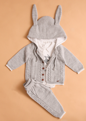 Baby bodysuit hoodie and knit pants set