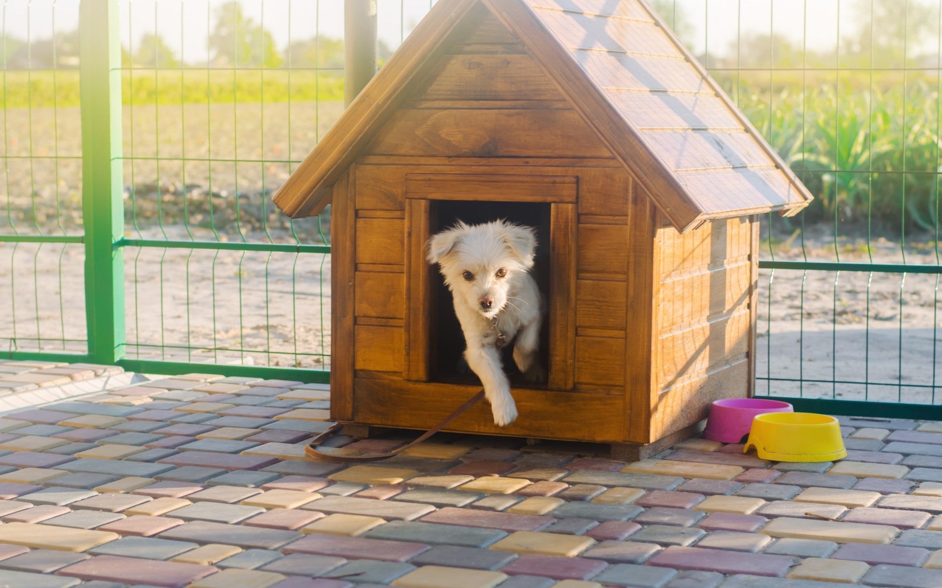 how to keep a dog in a dog house