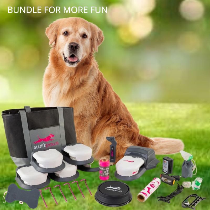 Lure Course Machine for Dogs, Interactive Dog Toys, Pet Chase Toys