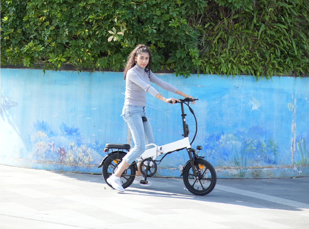 Affordable electric bike