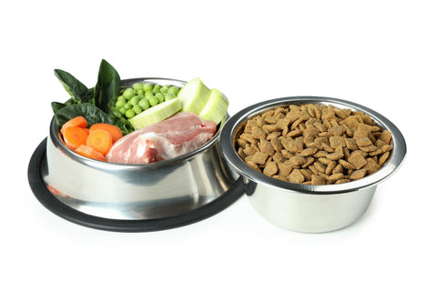 Concept of organic pet food isolated on a white background.