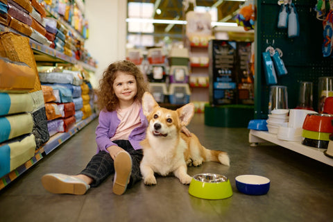 Little girl child sitting on pet shop floor holding corgi dog on knees.