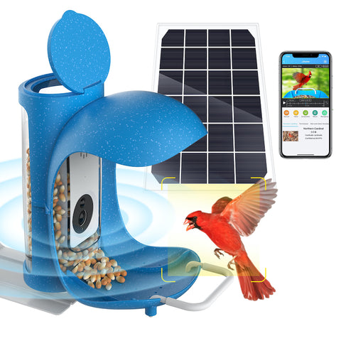 solar bird feeder with camera