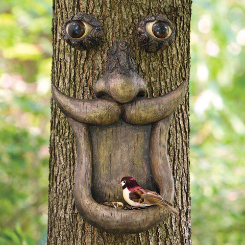 tree_face_bird_feeder