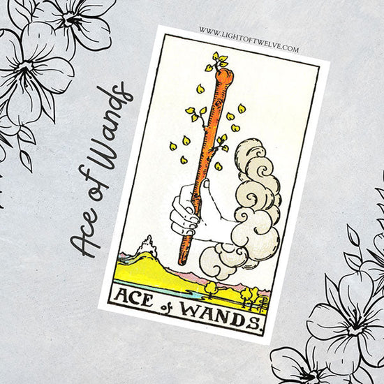 The ace of wands blog cover - Light of Twelve