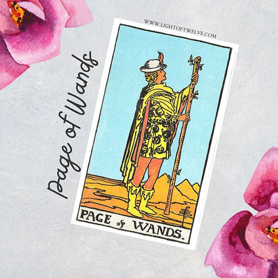 Page of Wands Tarot Card Meaning - Light Of Twelve