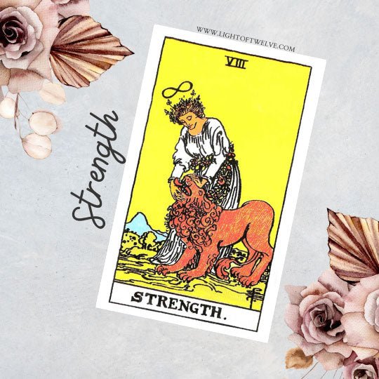 Strength Tarot Card Meaning - Light Of Twelve