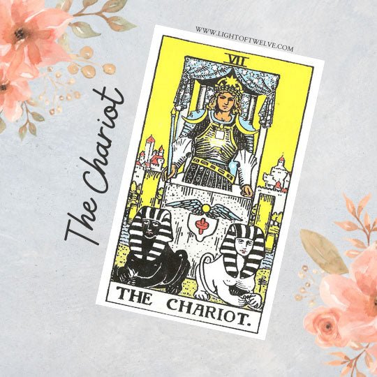 The Chariot Tarot Card Meaning - Light Of Twelve