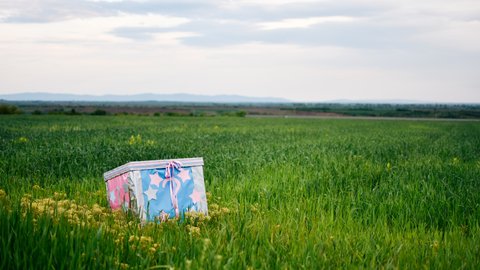 gender reveal mystery toy box in the field