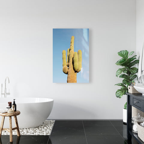 Lone Saguaro Metal Print in Bathroom