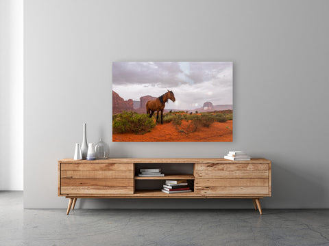 Wild Horses Monument Valley Metal Print by Brad Scott