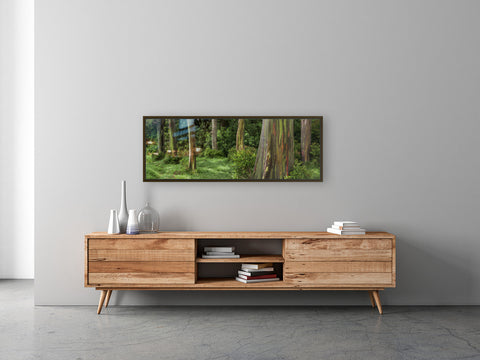 Rainbow Eucalyptus Forest Hana Maui Metal Print by Brad Scott