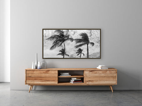 Palms Of The Bahamas Metal Print by Brad Scott