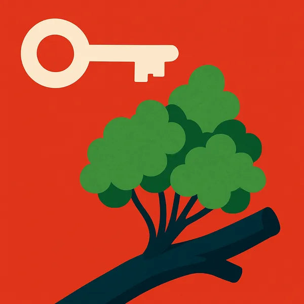 Key Understandings - illustration