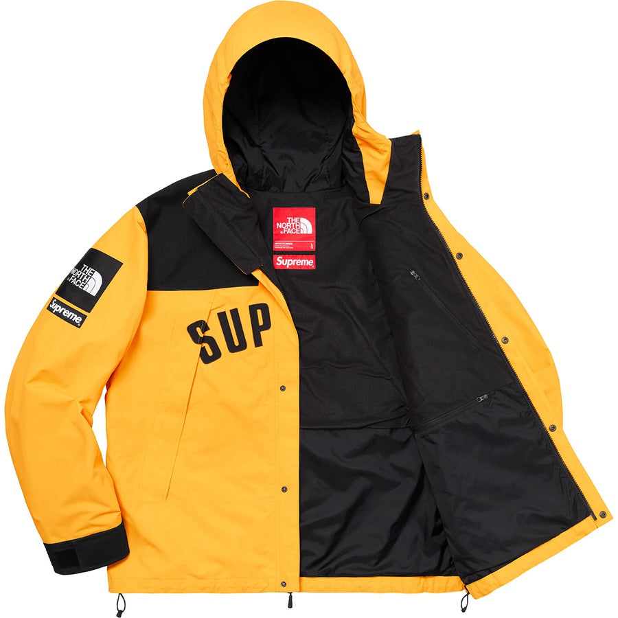 parka supreme x the north face