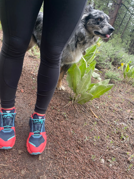 My Dynafit Trail Running Kit Pushed Me Further into the Mountains and –  Tahoe Mountain Sports