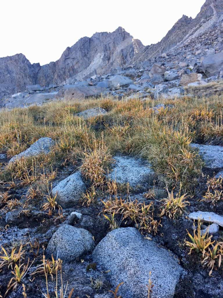 Starting the approach up the west face of Agassiz