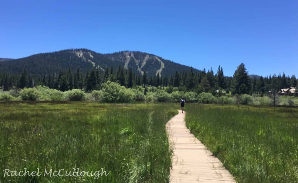 Mid-day runs in the Martis Valley. Bring on the heat!