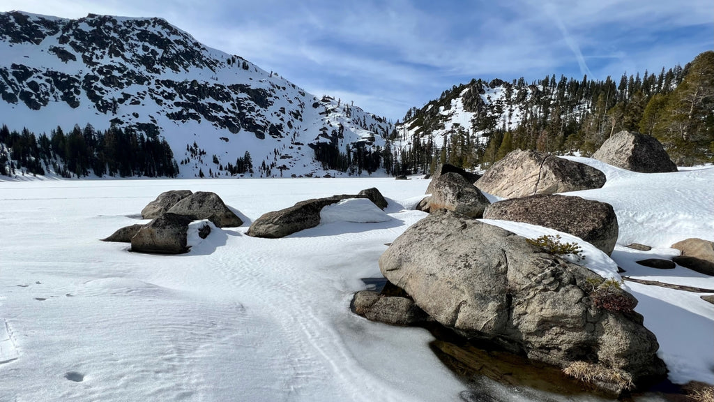 picture of low snow level in Truckee