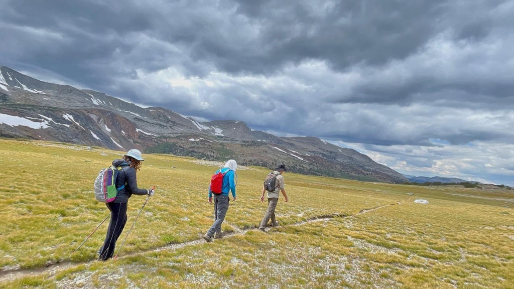 people hiking under grey skies