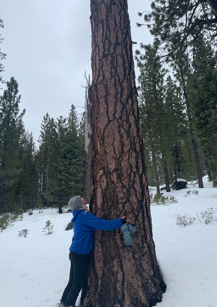 woman hugging a tree