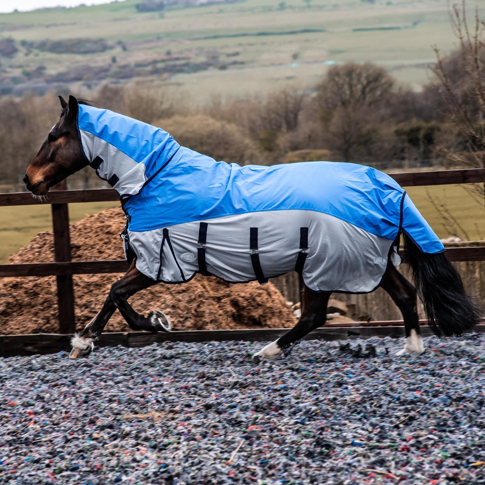 fly rug for horse