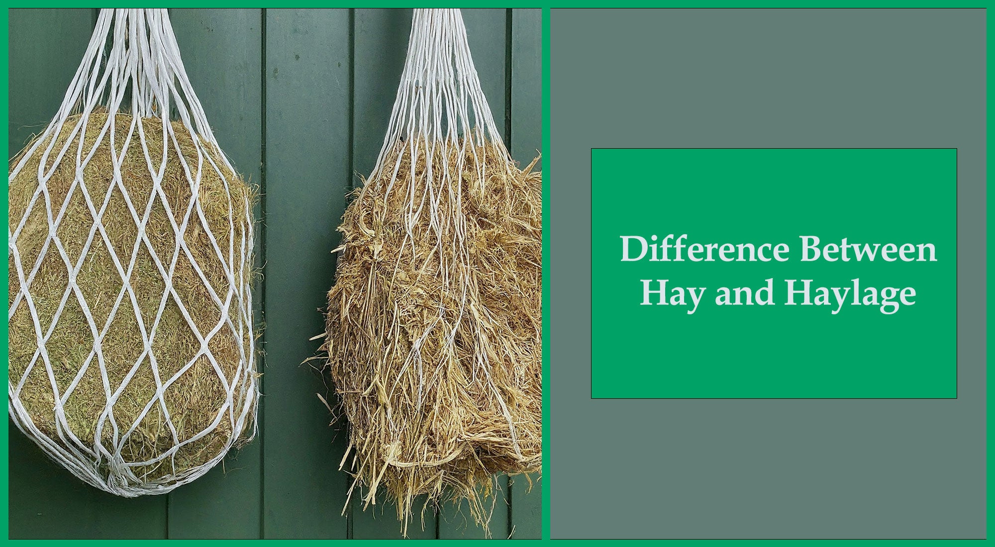 difference between haylage and hay