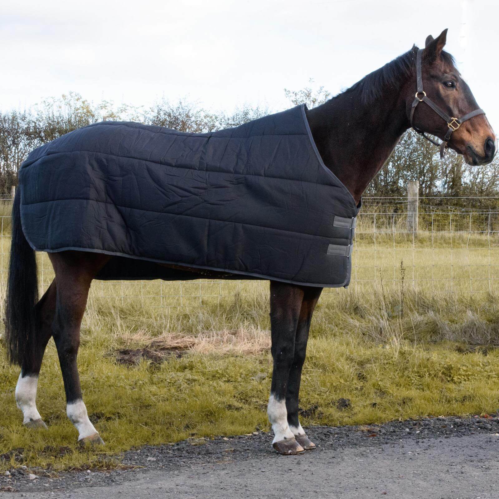 Heavyweight Turnout Rug