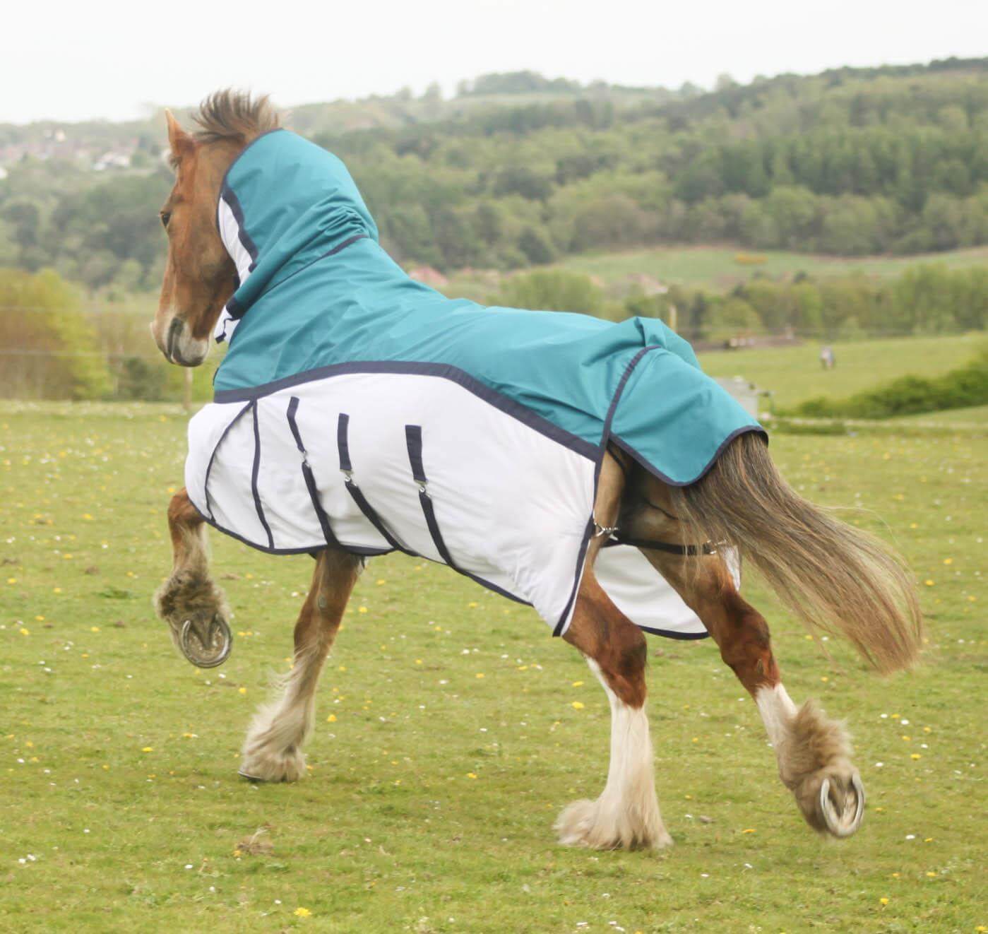 horse rug UK