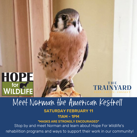 Promo graphic for Norman's visit with Hope for Wildlife logo