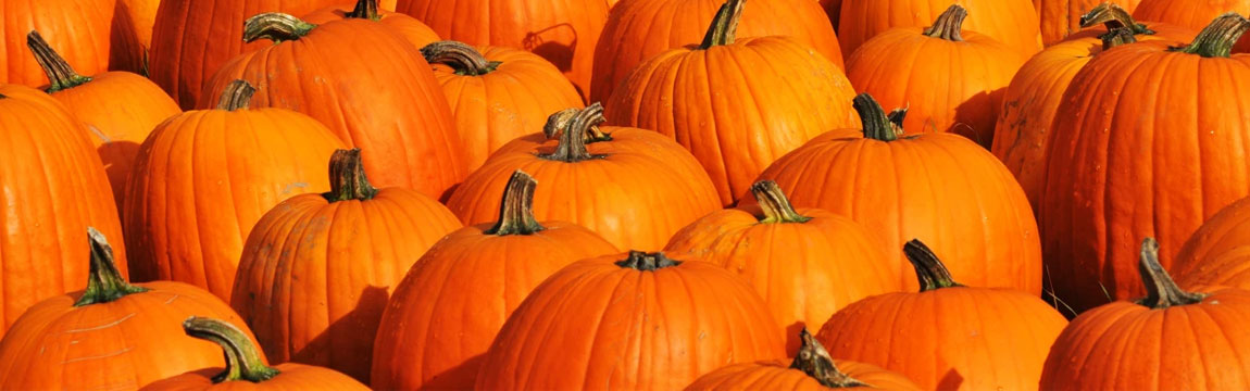 National Pumpkin Day