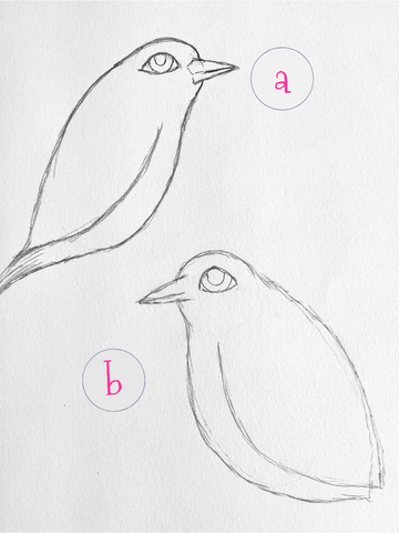 two imaginary bird sketches in pencil. please vote for favorite.