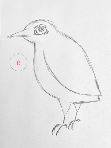 Imaginary bird pencil sketch. Vote for your favorite.