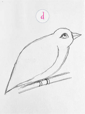 Imaginary bird sketch. Please vote for your favorite.