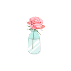 Illustration of a pink rose in a jar of water