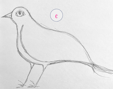 Imaginary bird pencil sketch. Please vote for your favorite.