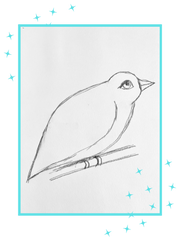 sweet sketched birdie